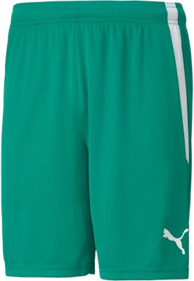 PUMA Herren Shorts teamLIGA Shorts in grün