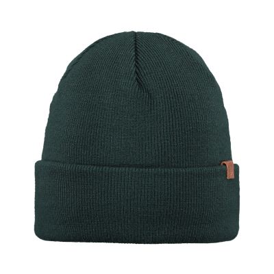 Willes Beanie in grün