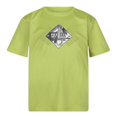 REGATTA GREAT OUTDOORS Alvarado VII T-Shirt in grün