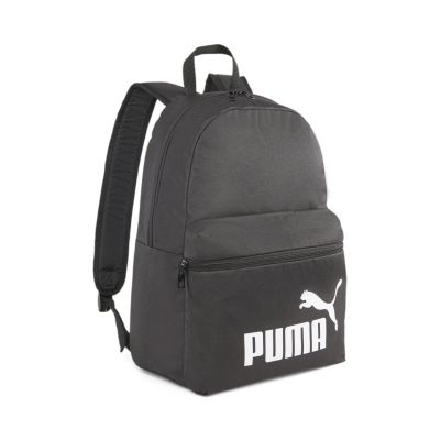 Rucksack Phase Backpack in grau