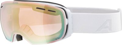 ALPINA Skibrille Granby QVMM in braun