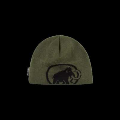 Tweak Beanie in 40294 dark marsh-black