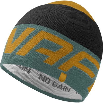 Herren RADICAL BEANIE in grau