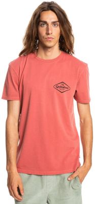 QUIKSILVER Herren Shirt STIRITUPSS M TEES in pink