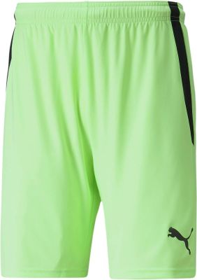 PUMA Herren Shorts teamLIGA Shorts in grün