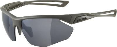 ALPINA Brille ALPINA NYLOS in grau