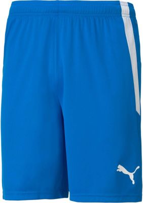 PUMA Herren Shorts teamLIGA Shorts in blau