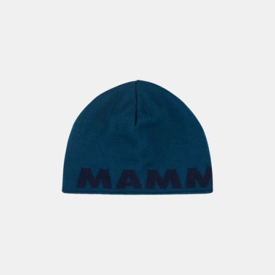 Mammut Logo Beanie in 50554 deep ice-marine