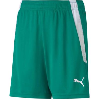 PUMA Kinder Shorts teamLIGA Shorts Jr in grün