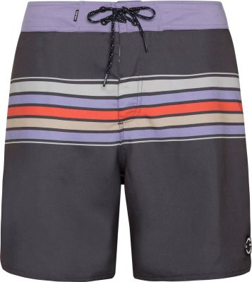 PROTEST Badehose PRTKALFORD beachshort in grau